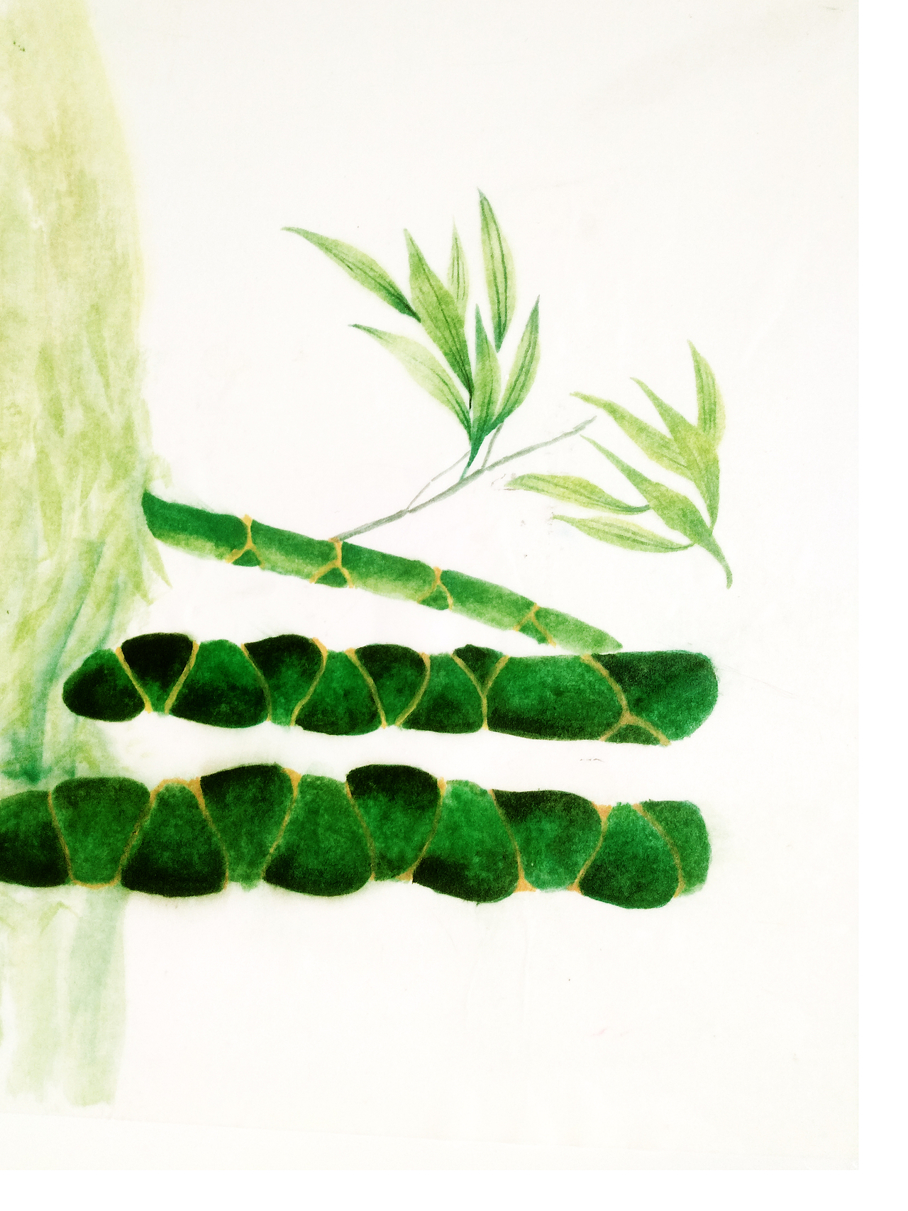 国画竹子（图ZMjIyMDM4ODc2） - 绘画 - 站酷设计师qingshuang原创素材 - 站酷ZCOOL