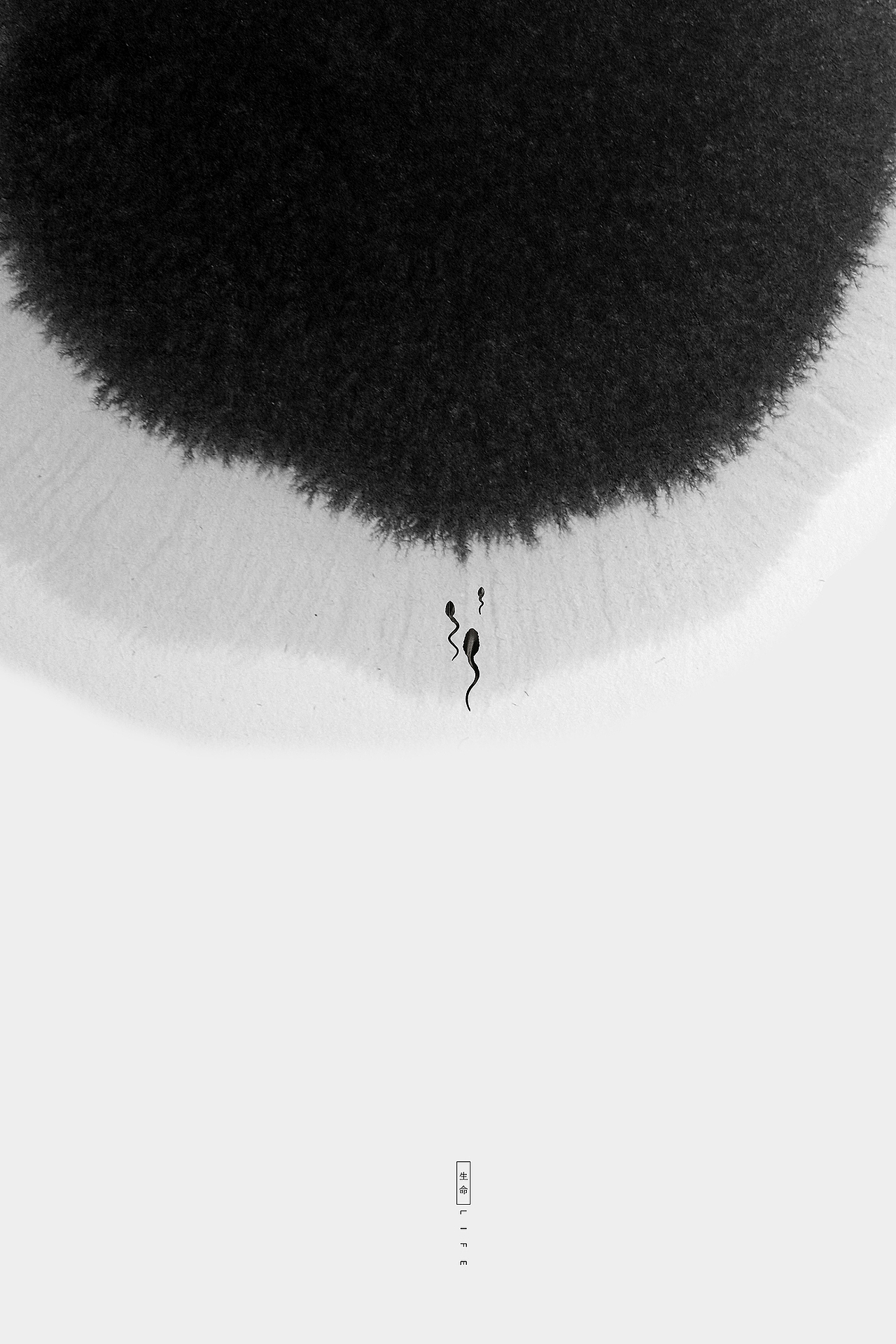 2019年入展和获奖海报作品