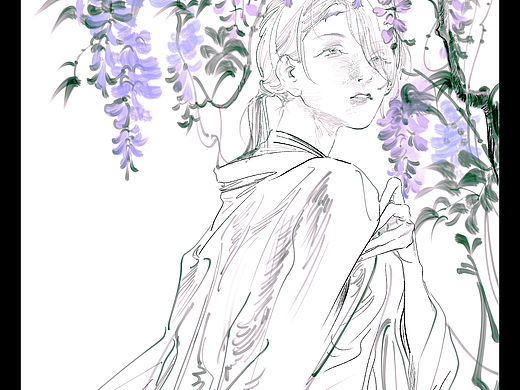 紫藤花插画