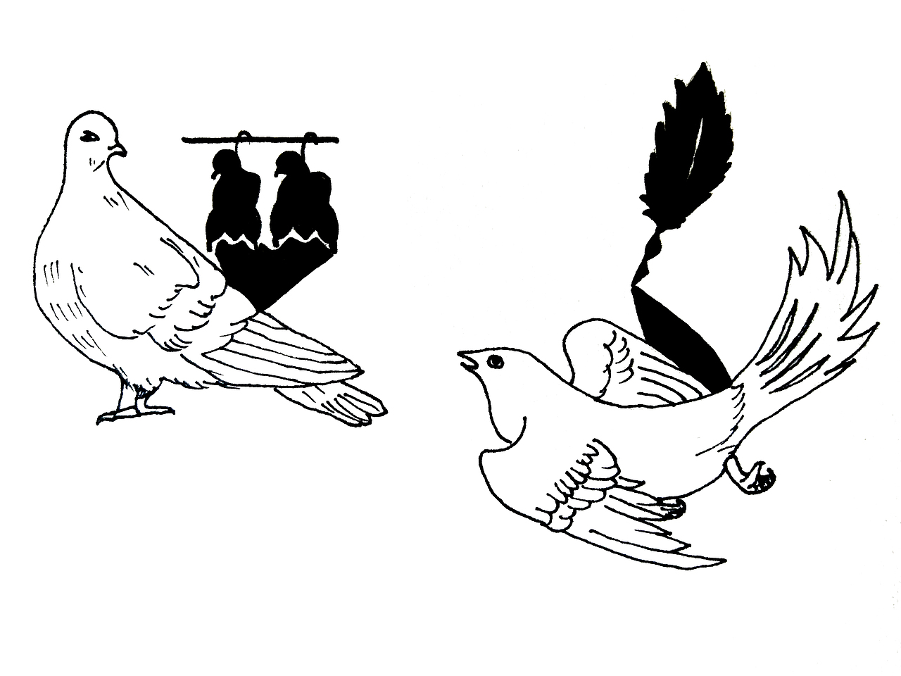 异影图形的创意与表现(现象本质)