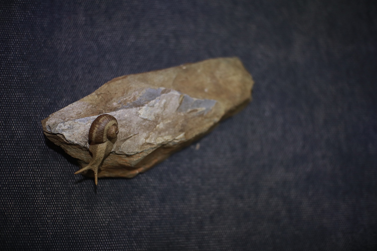 [z加油]（圖ZMTIxMzMzMTAw） - 其他手工藝 - 站酷設(shè)計(jì)師樂亦123原創(chuàng)素材 - 站酷ZCOOL