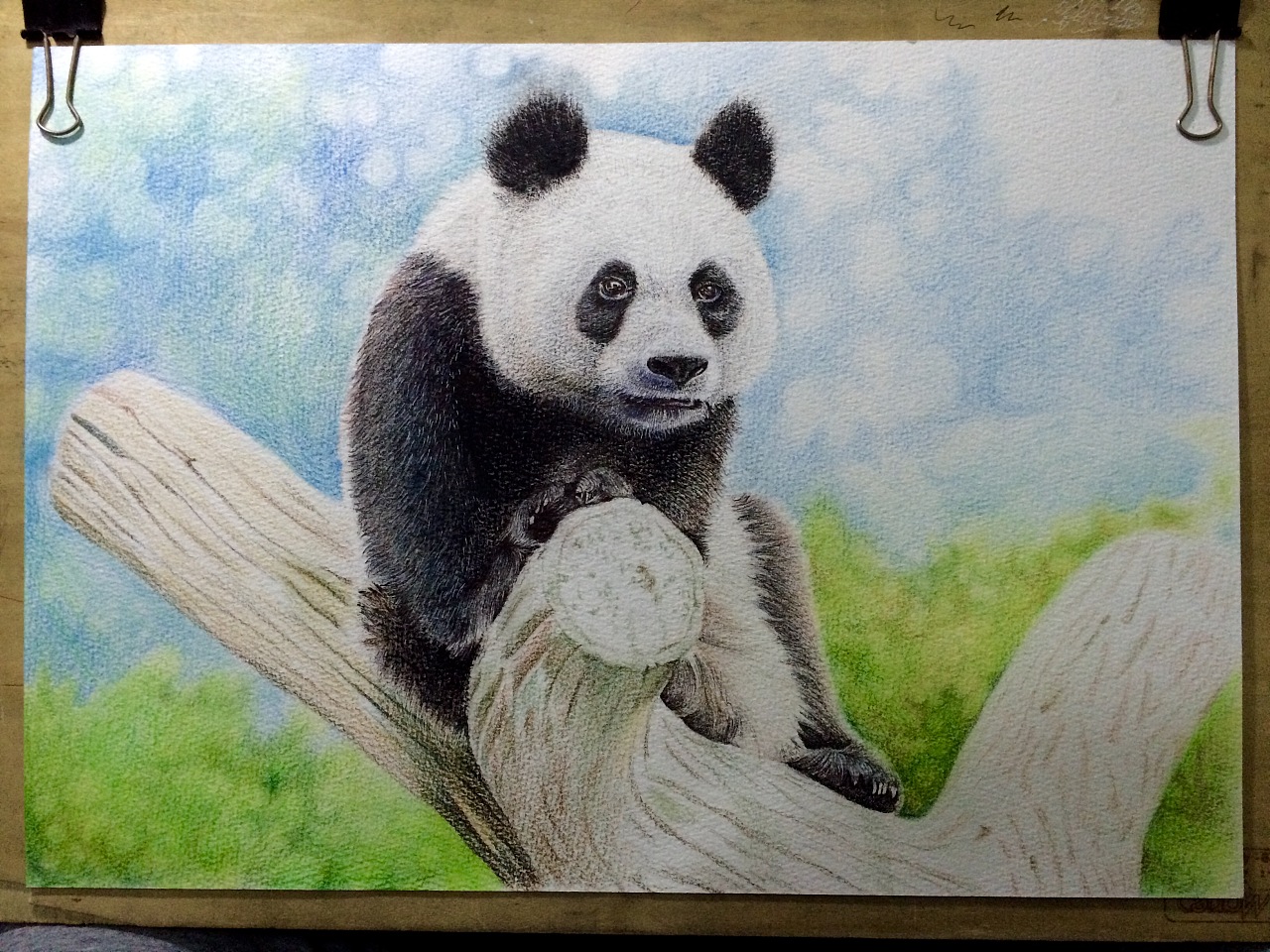 如何画熊猫（包含图片）