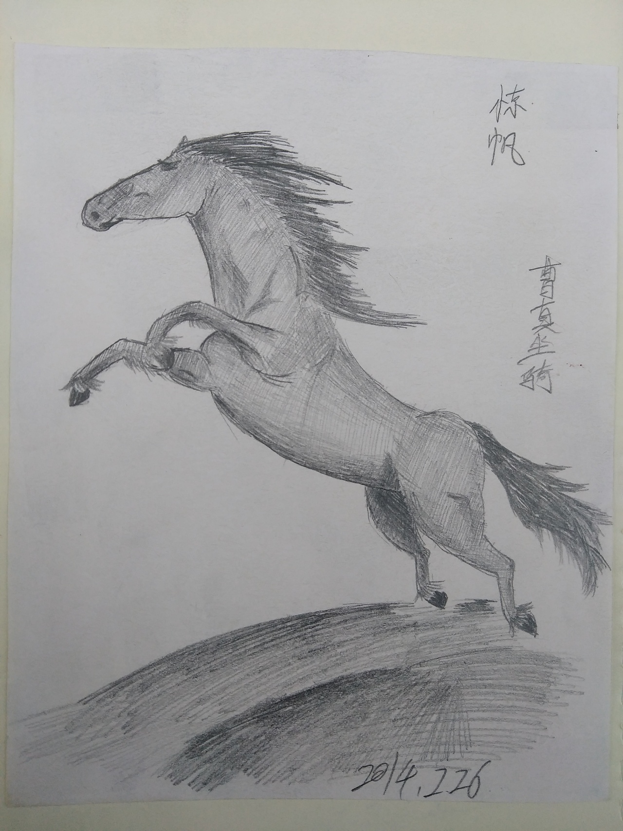 一匹出色的马绘画图片