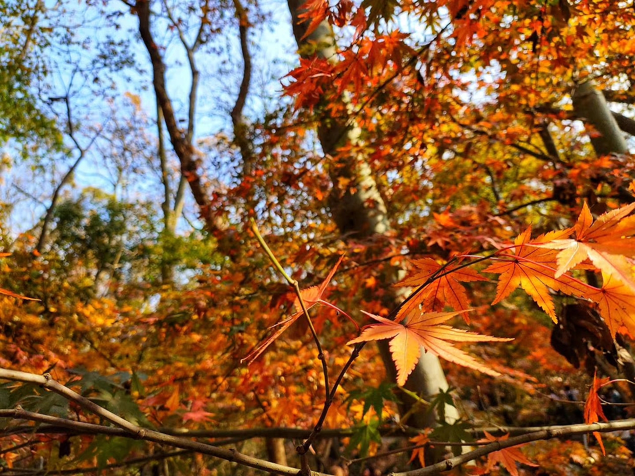 自是不一样的风光无限（图ZMjA5MTA2NzIw） - 风光摄影 - 站酷设计师l9lol9l原创素材 - 站酷ZCOOL