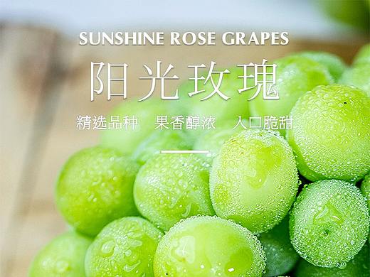 阳光玫瑰青提详情