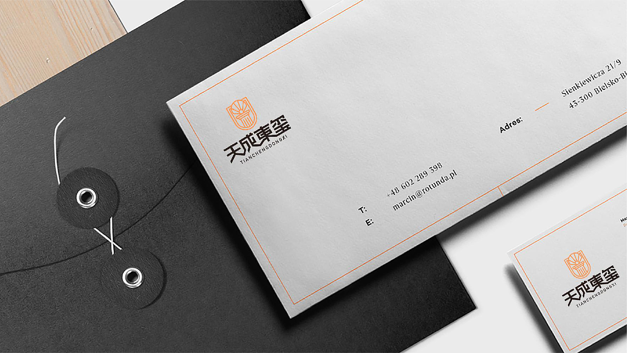 LOGO设计 | 天成东玺 | TIAN CHENG DONG XI（图ZMTQ2MzI3MjMy） - Logo - 站酷设计师连鸿槟原创素材 - 站酷ZCOOL