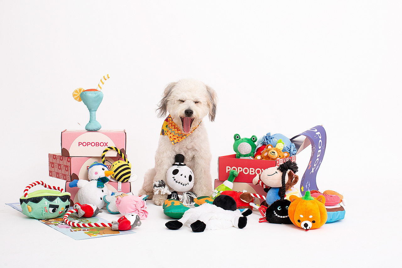 深圳宠物用品拍摄popobox
