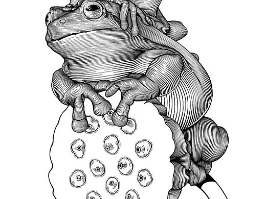 钢笔画风
