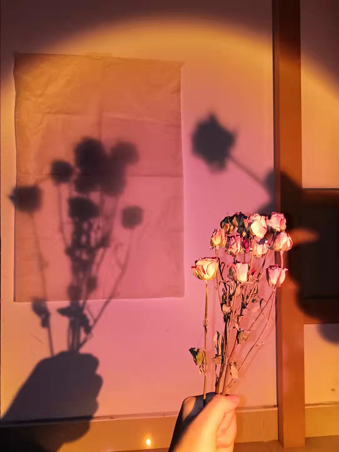 グッ!(๑•̀ㅂ•́)و✧