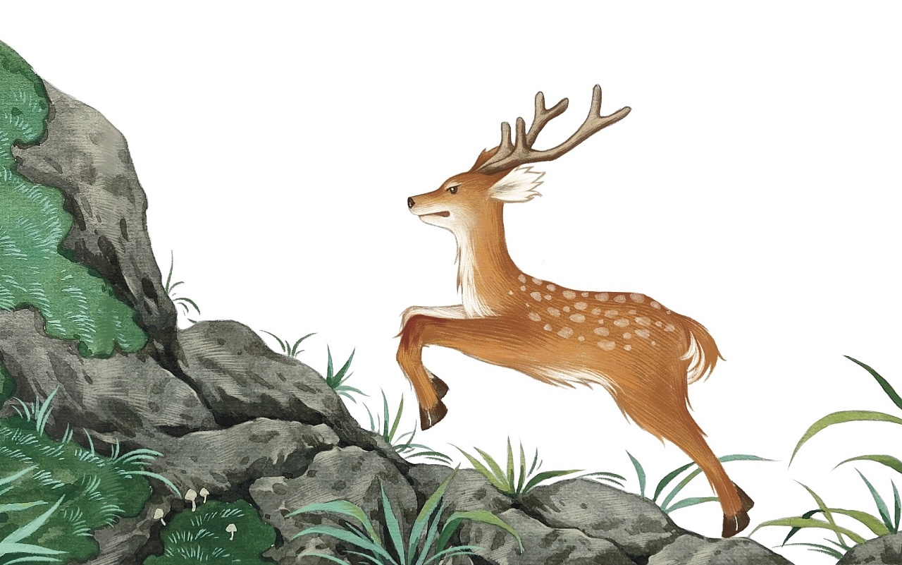 内插|小鹿斑比|已出版|插画|儿童插画|红糖ht - 原创作品 - 站酷