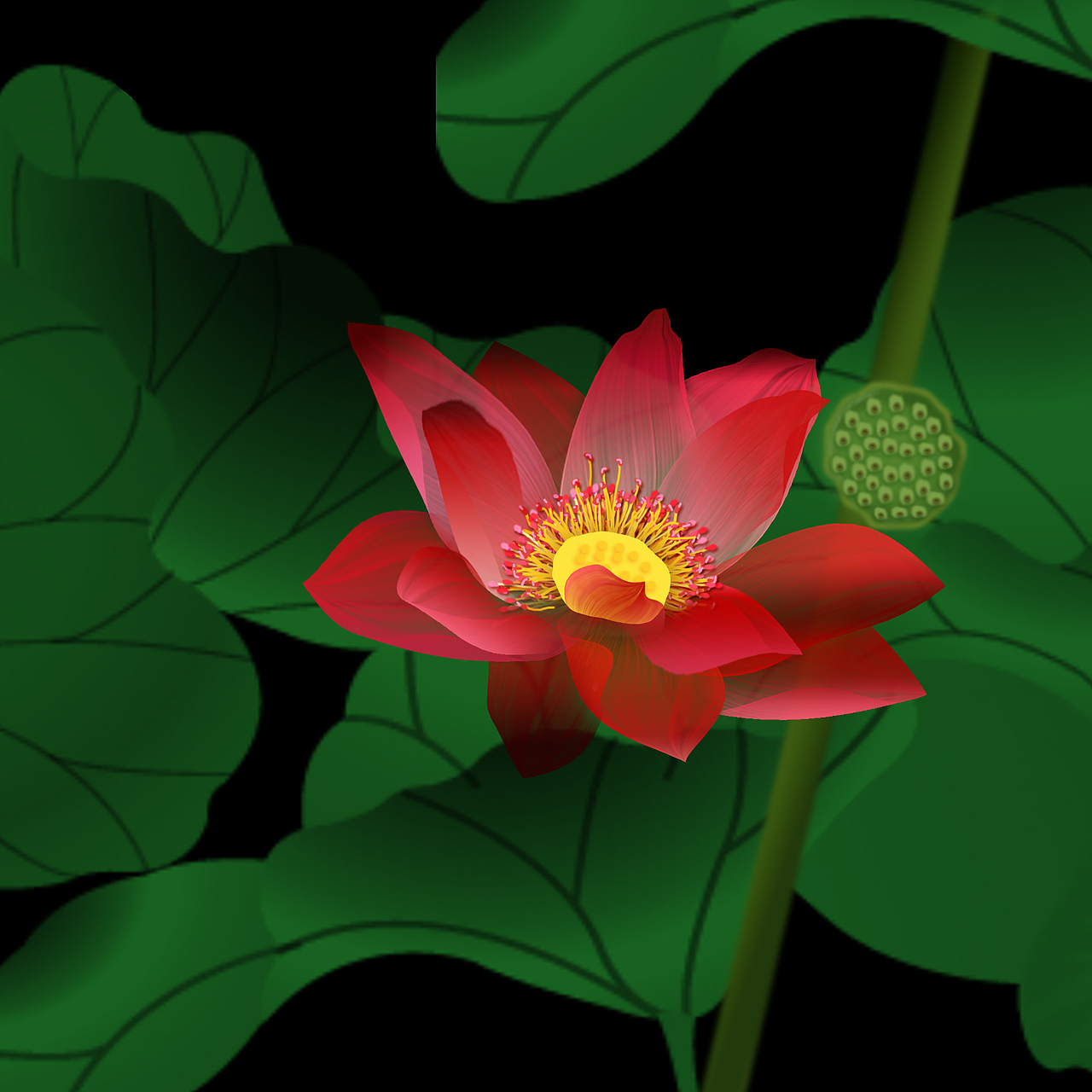 ps练习半透明花