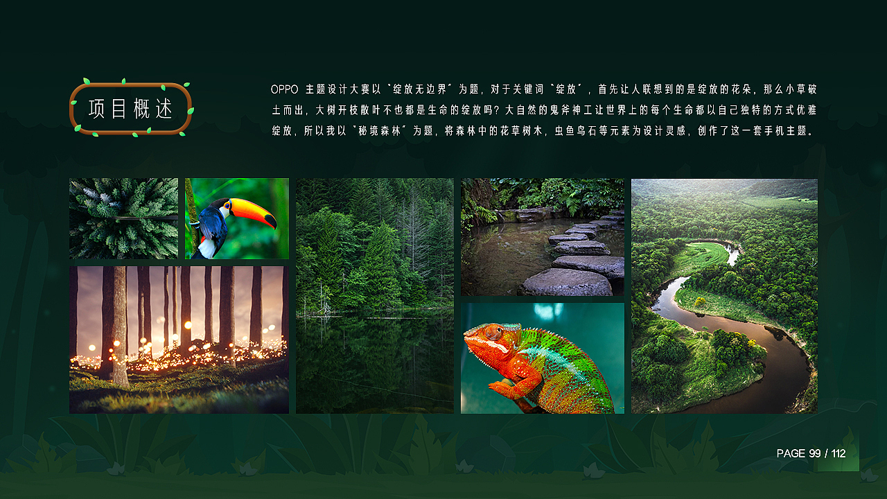 2021作品整理(下篇)—— 网页端、主题类、视觉类