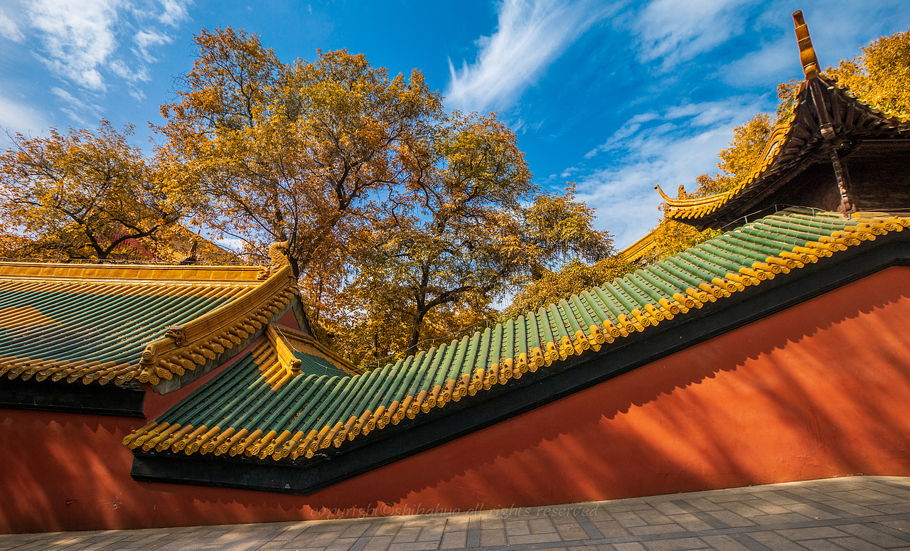 金陵秋色（图ZMjgwNjY3ODQ0） - 风光摄影 - 站酷设计师十把火原创素材 - 站酷ZCOOL