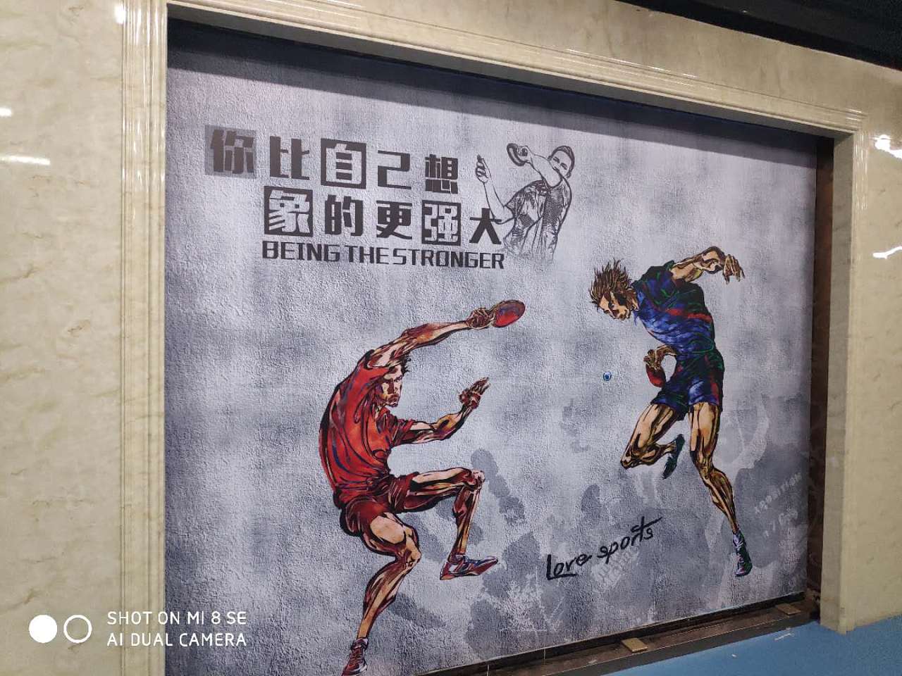 乒乓球背景墙|平面|图案|以梦为马wk - 原创作品 - 站酷 (zcool)