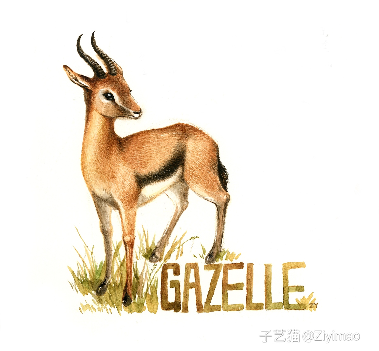 水彩-IELTS词汇书插图（图ZMTk1NDI0ODI4） - 商业插画 - 站酷设计师子艺猫原创素材 - 站酷ZCOOL