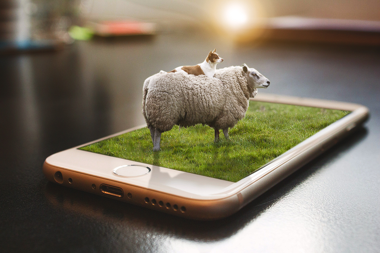 羊手机的合成（图ZMTA3MTYxOTY0） - 其他平面 - 站酷设计师HowardL原创素材 - 站酷ZCOOL