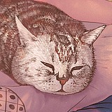 Franzzi7房子的头像