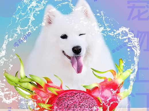 宠居邦 夏日萌宠系列（个人主页-ZNTI2NzExMjA=） - 海报 - 站酷设计师无敌月亮原创素材 - 站酷ZCOOL