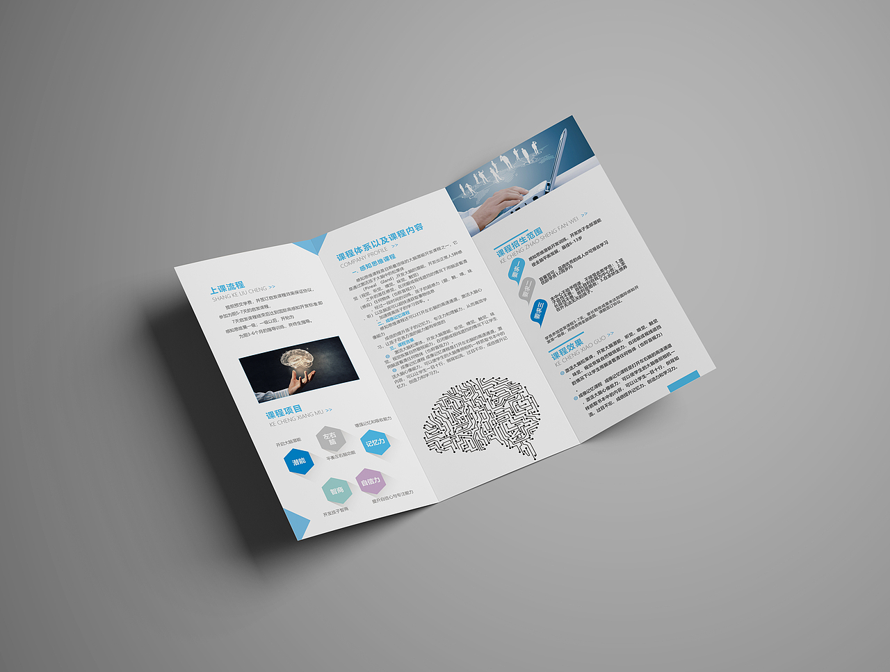 感知培训/三折页