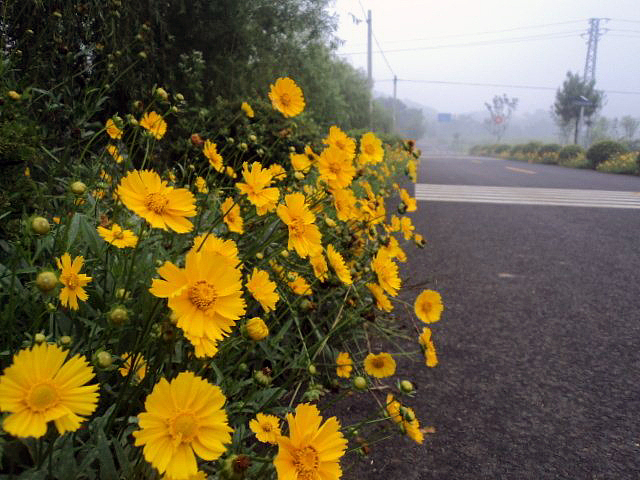 家乡美-----慢城的某一角（图ZMTY2NzkzOTY=） - 风光摄影 - 站酷设计师zhangping_3636原创素材 - 站酷ZCOOL