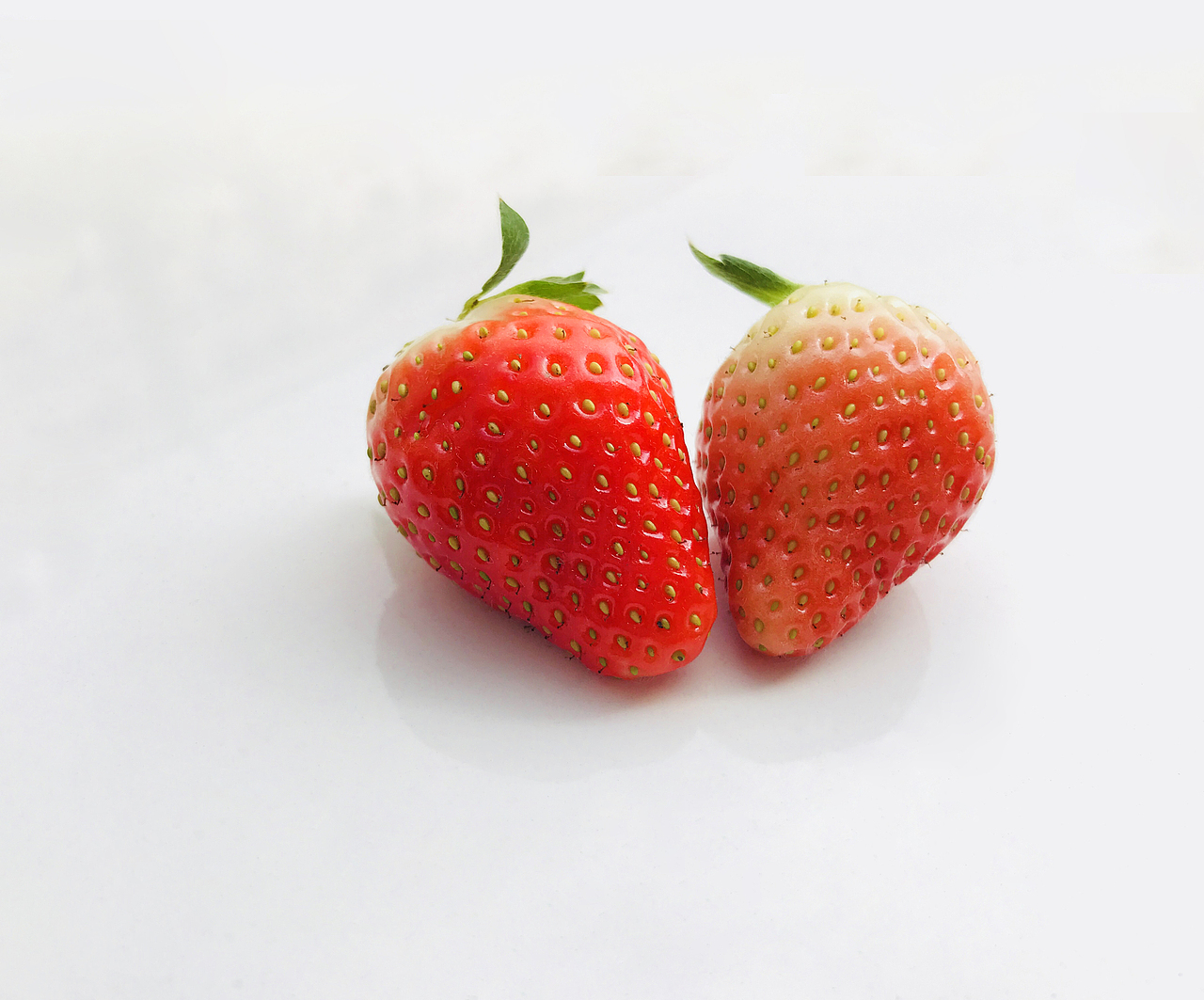 手机摄影（图ZMTA1ODIxMDMy） - 产品摄影 - 站酷设计师弦音染画轴原创素材 - 站酷ZCOOL