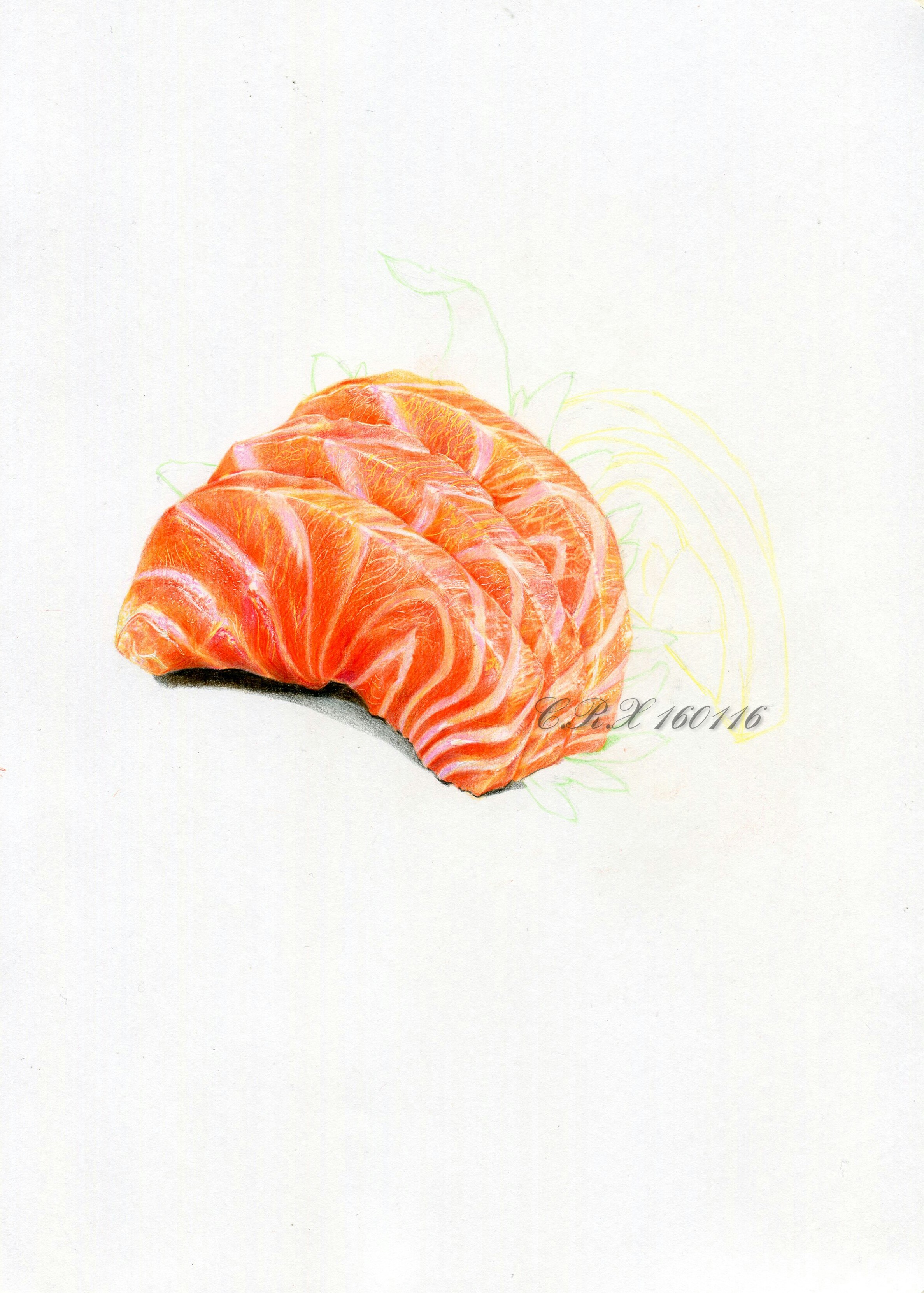 【彩铅美食】三文鱼刺身|纯艺术|绘画|溶萱 - 原创作品 - 站酷 (zcool