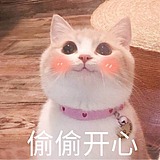 小小羊苏西的头像