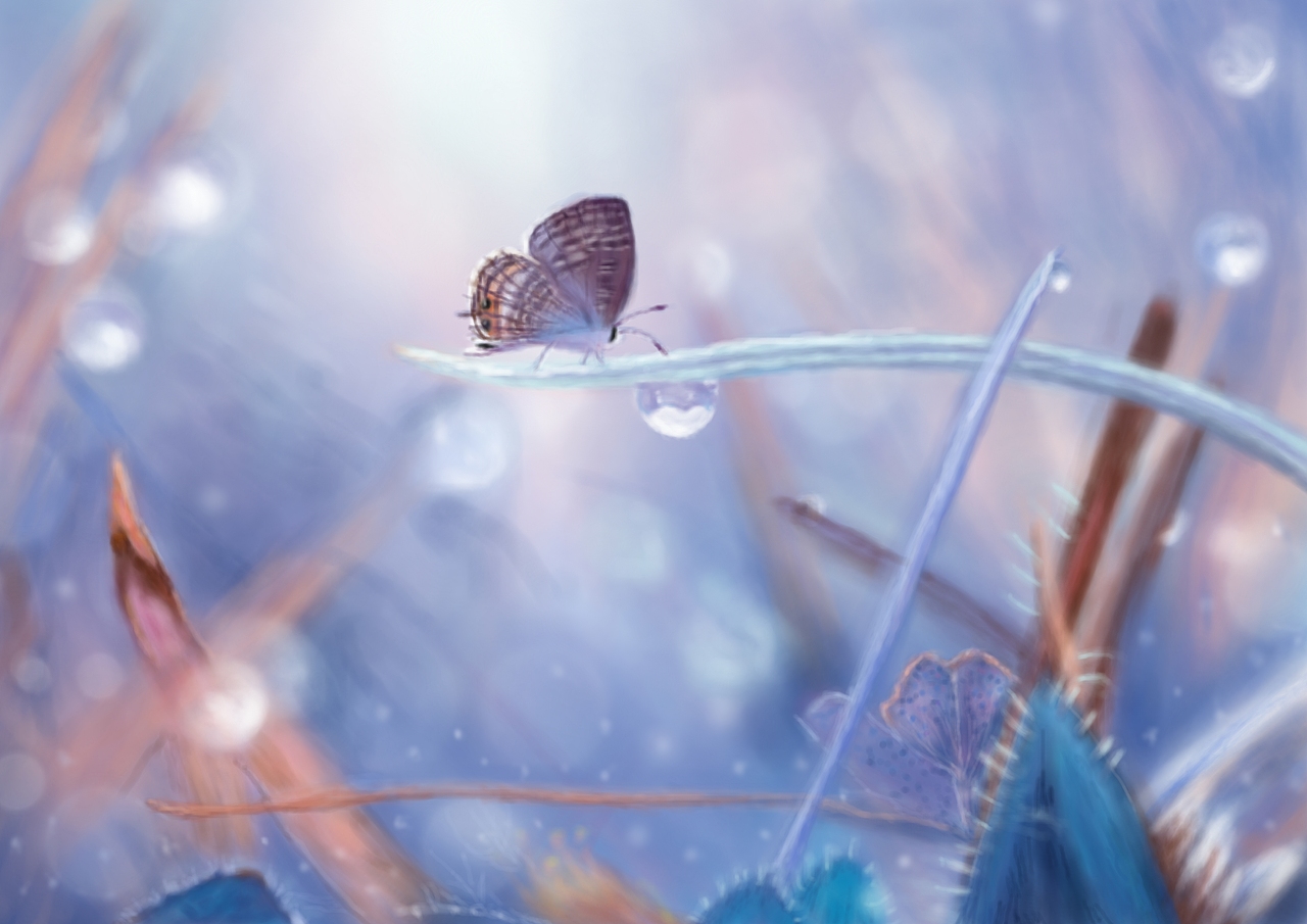 花朵蝴蝶梦幻手绘练习