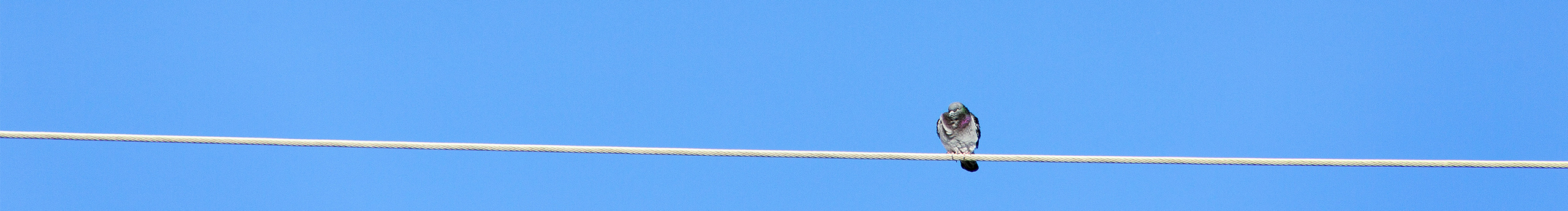 ISSUKI的个人主页（封面预览） - 主页封面设置 - 站酷设计师ISSUKI原创素材 - 站酷ZCOOL