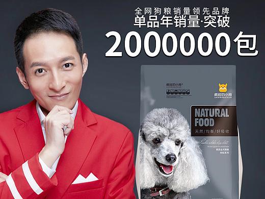 疯狂小狗