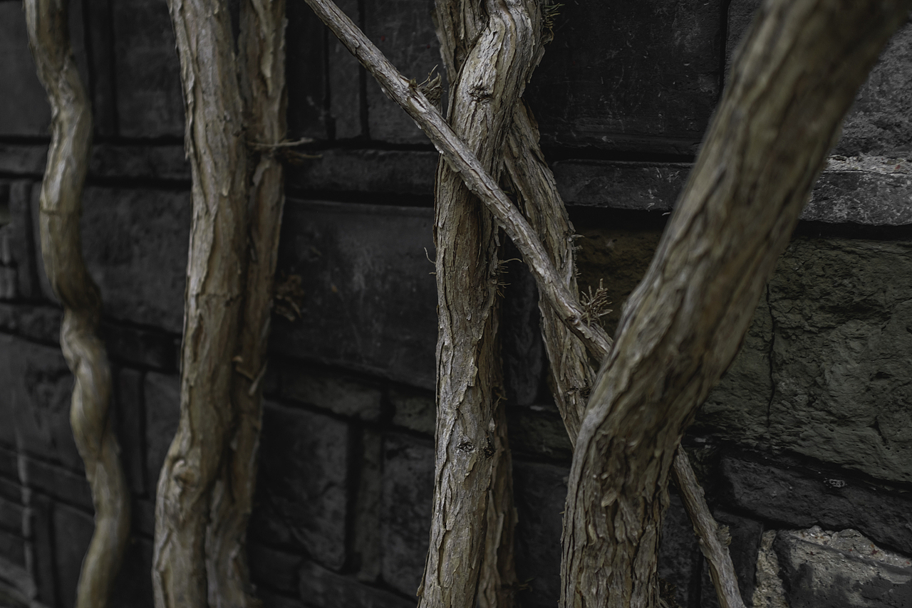 旅·图记[叁]南京瞻园老门东