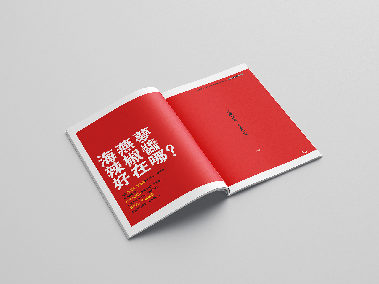 海燕梦 画册（图ZMjAxNDAxMzUy） - 品牌 - 站酷设计师吉米视觉原创素材 - 站酷ZCOOL