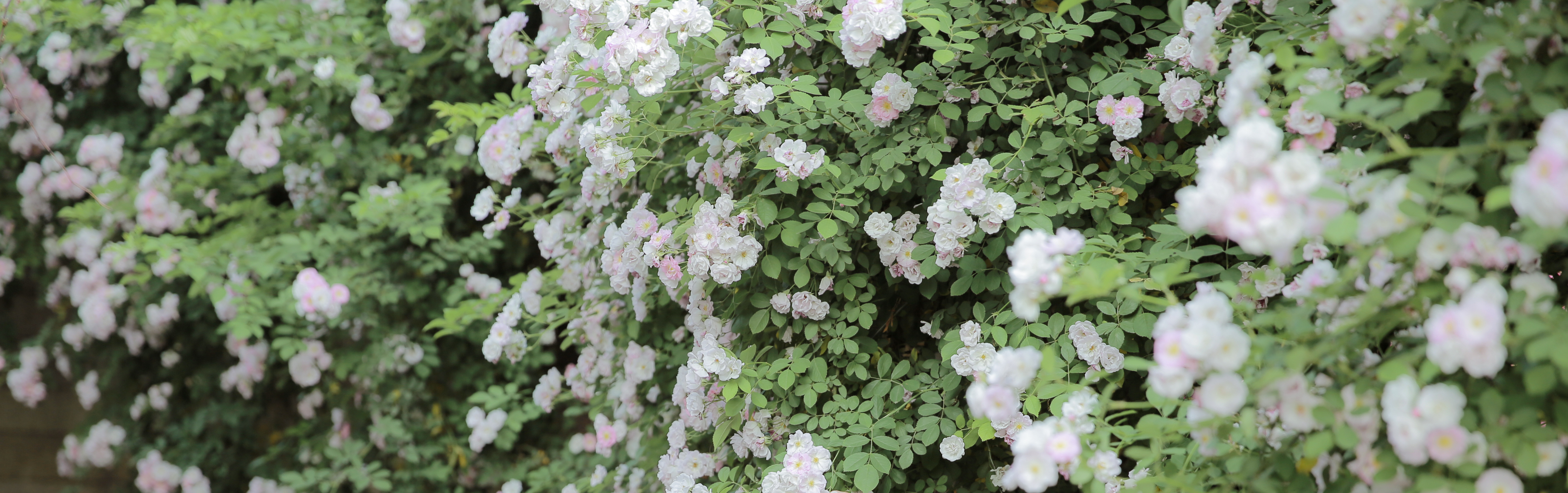 Zhang瀚文的个人主页（封面预览） - 主页封面设置 - 站酷设计师Zhang瀚文原创素材 - 站酷ZCOOL