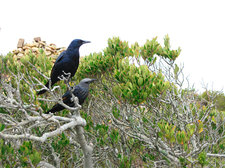 南非风光（图ZMzgxODA1Mg==） - 风光摄影 - 站酷设计师citybadman原创素材 - 站酷ZCOOL