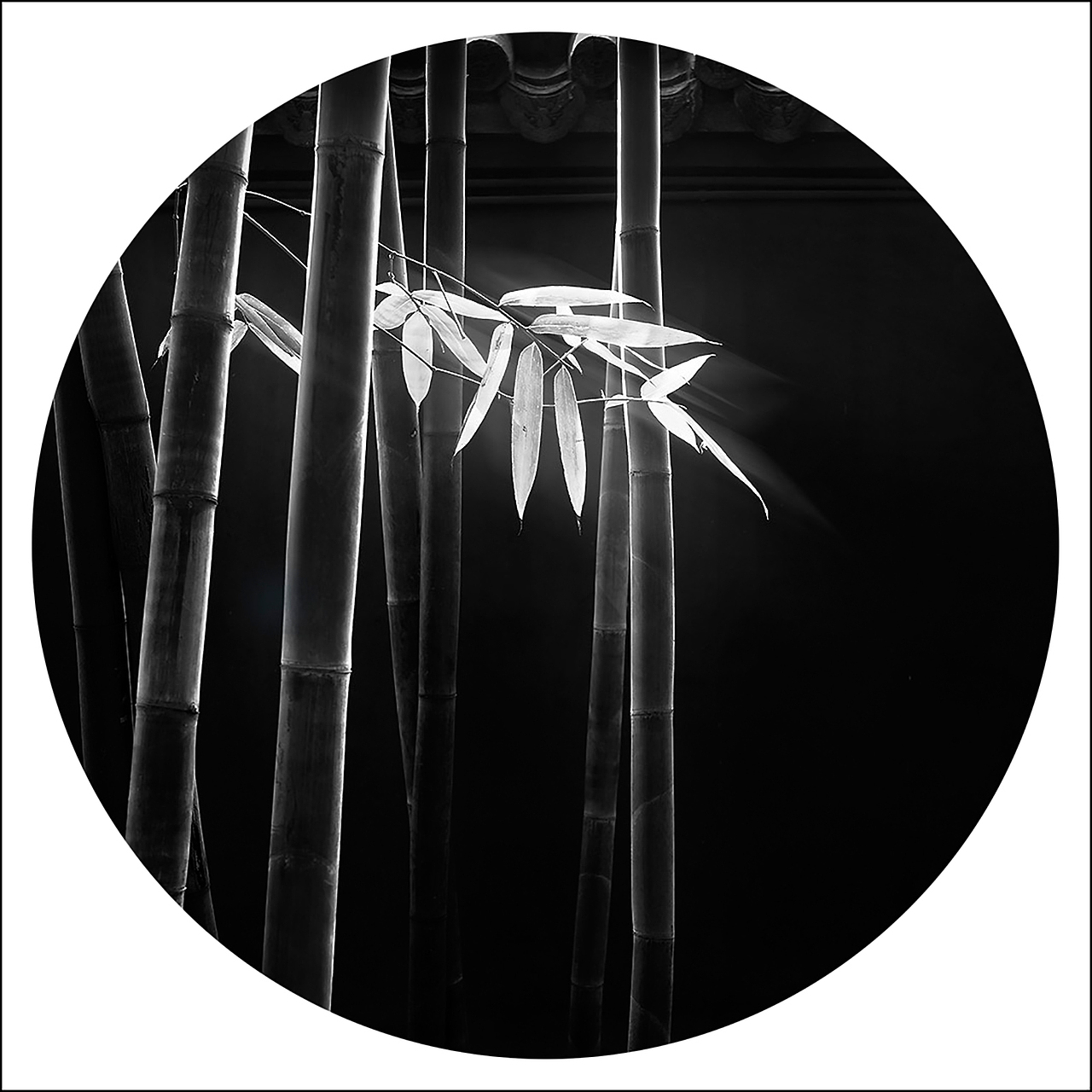 相由心生（图ZODA5MzY3NTI=） - 风光摄影 - 站酷设计师雨萌1994原创素材 - 站酷ZCOOL