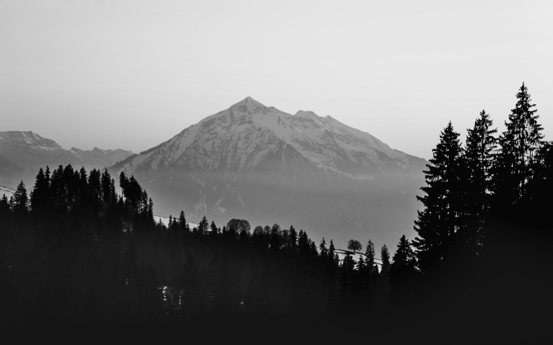 蛋蛋视觉设计的个人主页（封面预览） - 主页封面设置 - 站酷设计师蛋蛋视觉设计原创素材 - 站酷ZCOOL