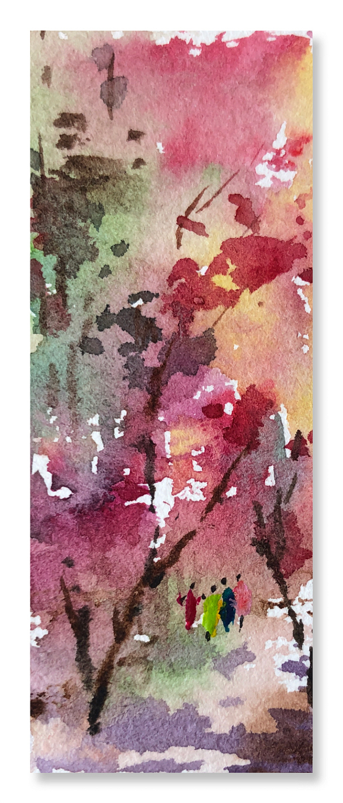 枫叶红透醉流年