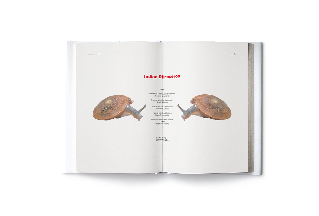 物种的消失或存在-自制书籍（图ZMjIwMjUwNDE2） - 书籍/画册 - 站酷设计师陈怡YiChen原创素材 - 站酷ZCOOL