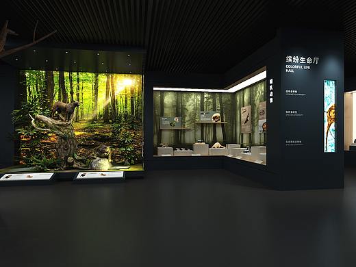 某生物多样性展厅