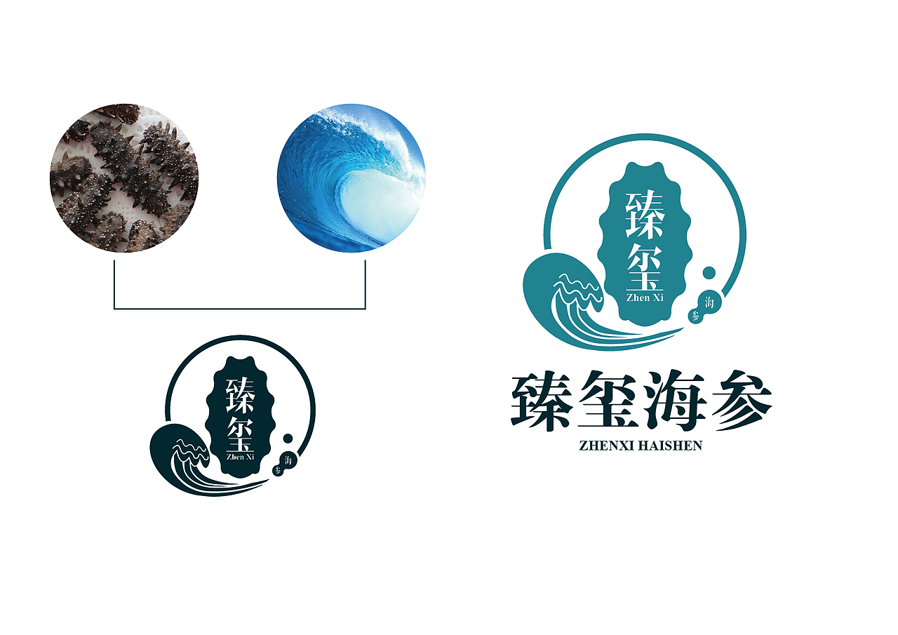 海參品牌：臻璽 logo設(shè)計(jì)（圖ZNTU0NDAzNjg=） - 品牌 - 站酷設(shè)計(jì)師Carlton_Xu原創(chuàng)素材 - 站酷ZCOOL