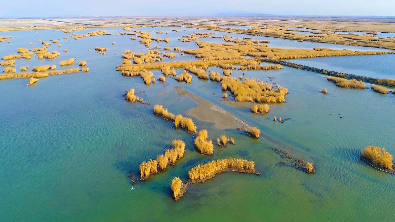 航拍下的艾比湖