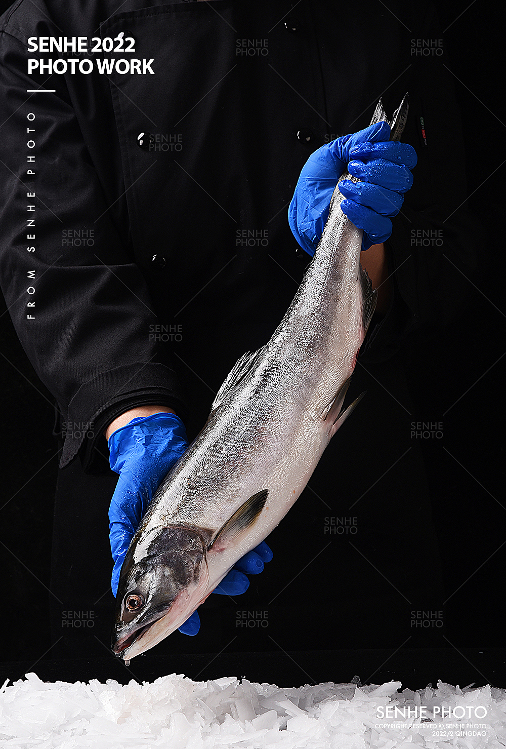 森和视觉 | 鲜三文鱼 大马哈鱼拍摄（图ZMjkwNjM0OTA4） - 产品摄影 - 站酷设计师森和视觉摄影原创素材 - 站酷ZCOOL