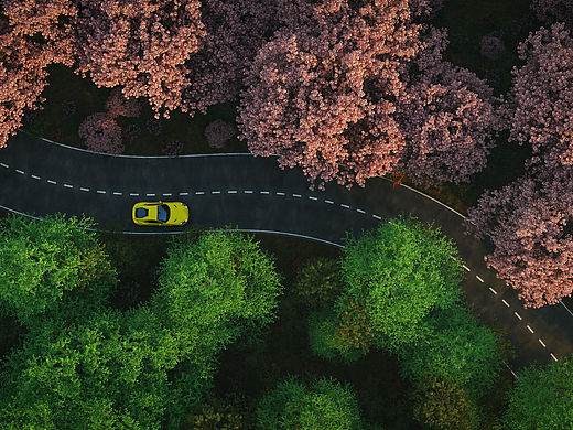 Blender Road