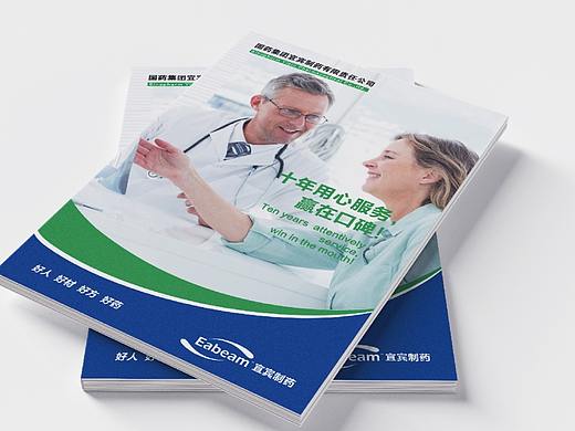 宜宾制药VI系统设计+LOGO设计—【成都远大品牌设计】