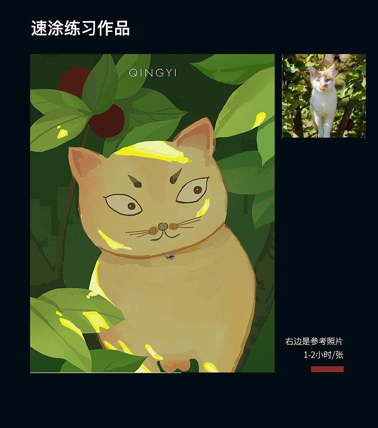 20-21年速途总结