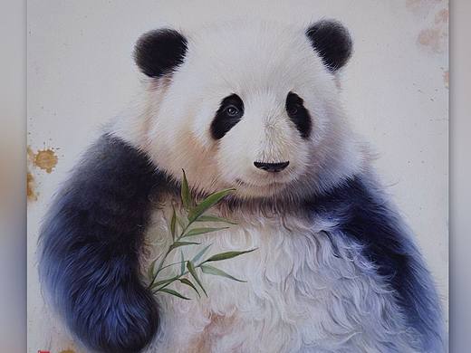 马行彩铅熊猫花花