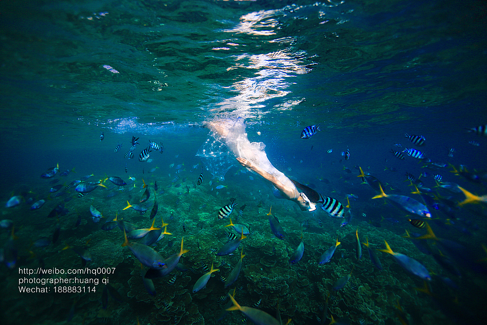 水下摄影（图ZNDUxNTYzNjg=） - 人像摄影 - 站酷设计师摄影师黄棋原创素材 - 站酷ZCOOL