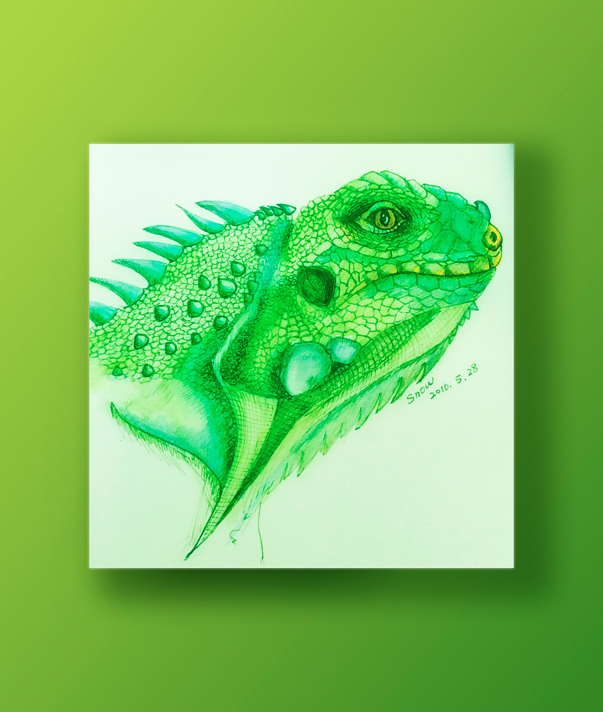 钢笔手绘绿鬣蜥