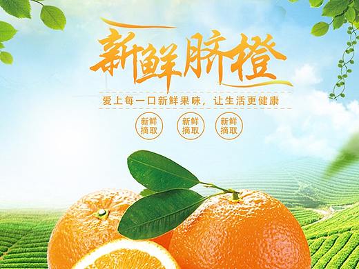 生鲜水果脐橙详情页