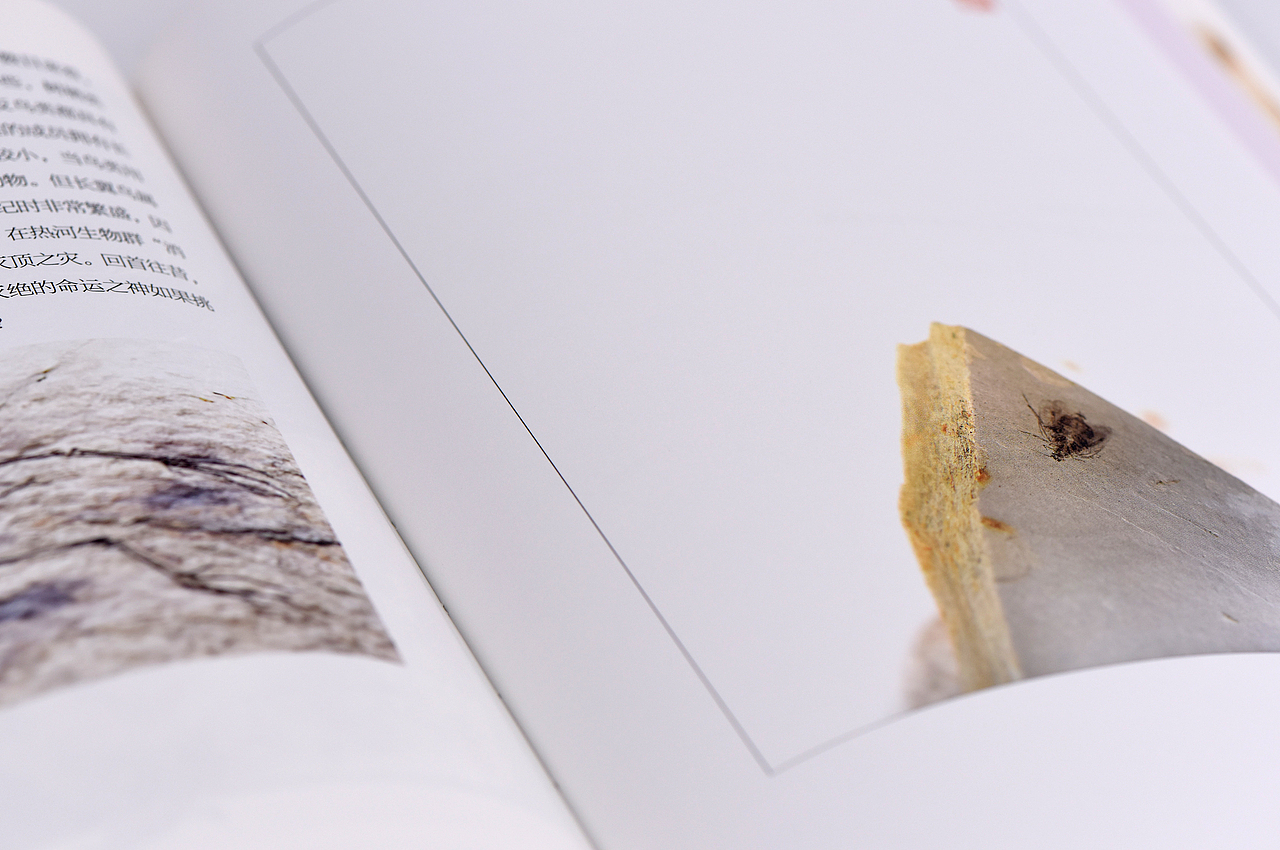 《征程:从鱼到人的生命之旅》中文版